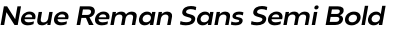 Neue Reman Sans Semi Bold Semi Expanded Italic